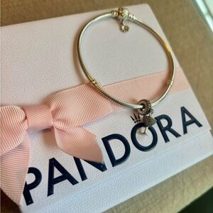 Pandora Silver and Gold Charm Bracelet
